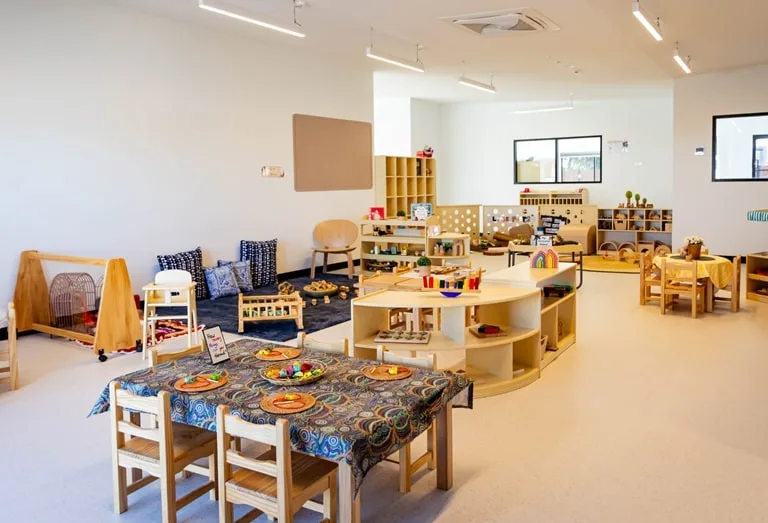 True maple indoor picture